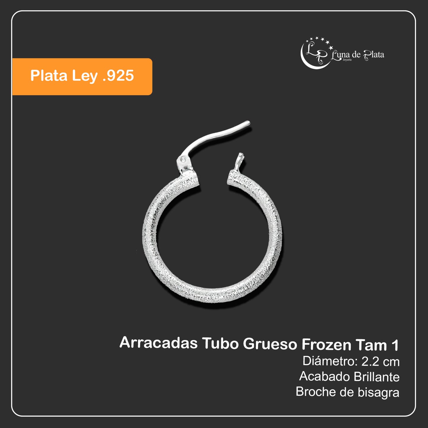 LPADI022 Arracadas De Plata .925 Tubo Grueso Frozen Tam 1 22 mm 1884102021