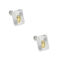 LPBR100 Arete Broquel Virgen Dorada Rectangular Radial en Plata .925