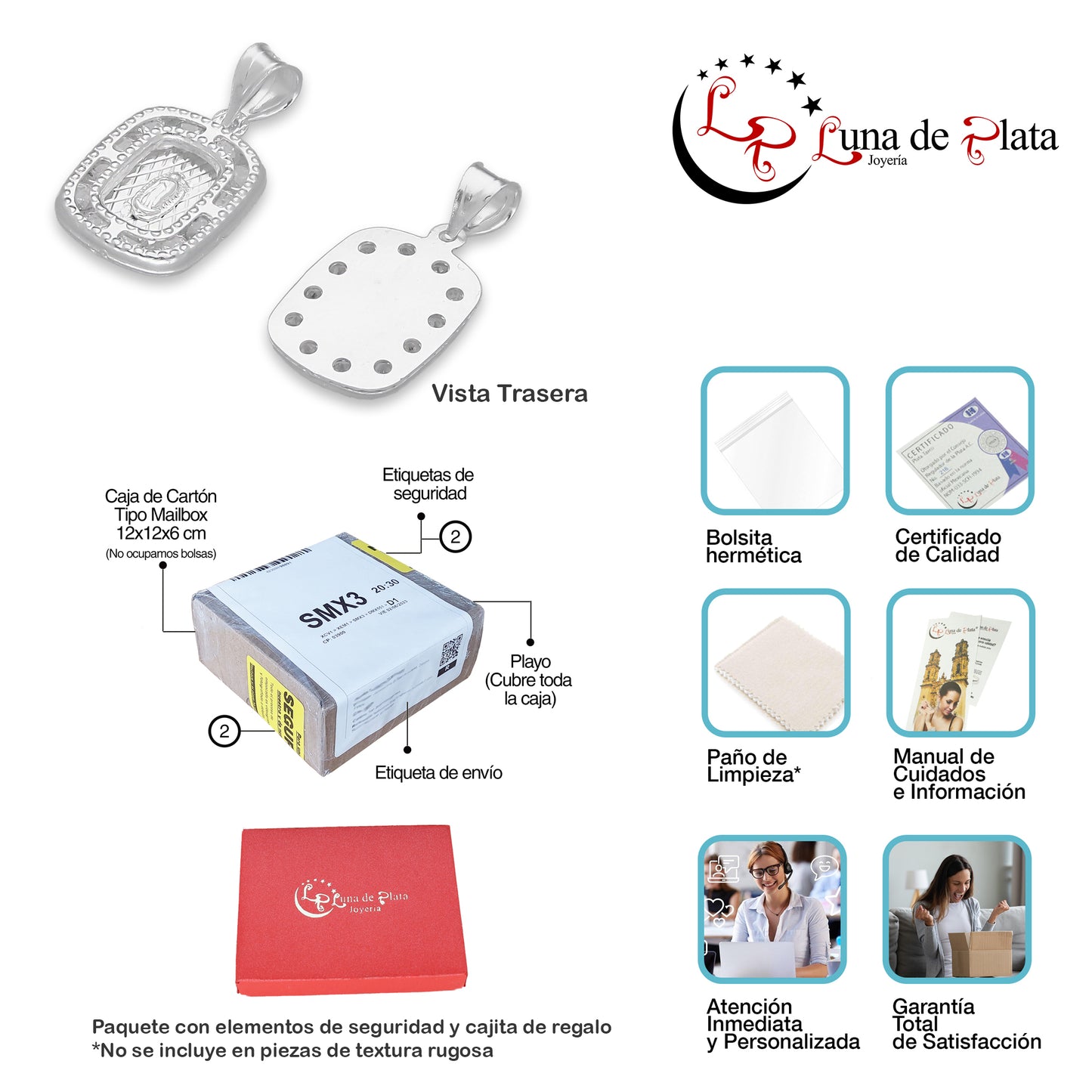 LPDJ282 Dije Medalla Virgen Rectangulo Micro en Plata .925 4429896722