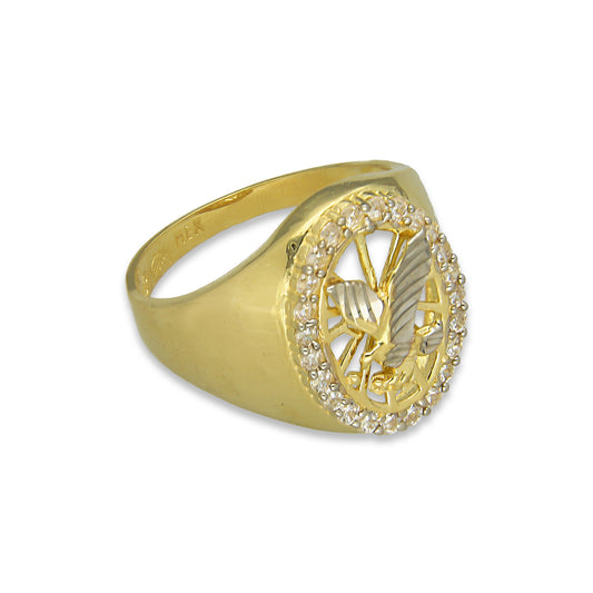 MR14AC005 Anillo Para Caballero Oro Sólido 14K Modelo Óvalo Águila con Zirconias