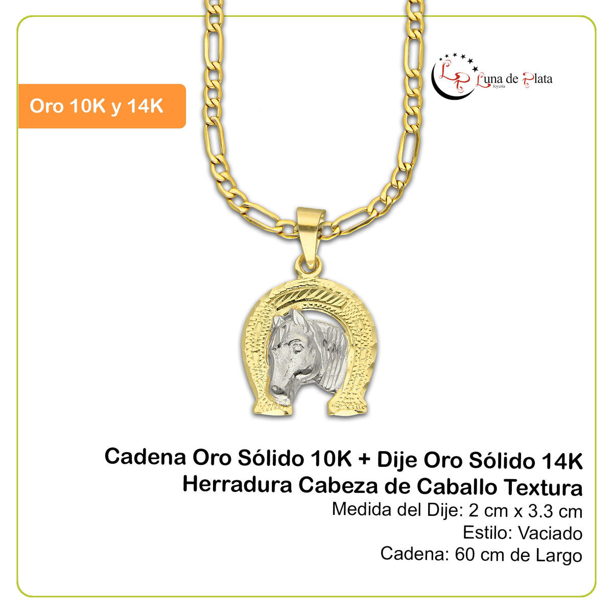 MR14DP008 Cadena Oro Sólido 10K + Dije Oro Sólido 14K Herradura Cabeza de Caballo Textura 2 cm x 3.3 cm